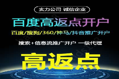 行业领先企业的SEM代理案例剖析